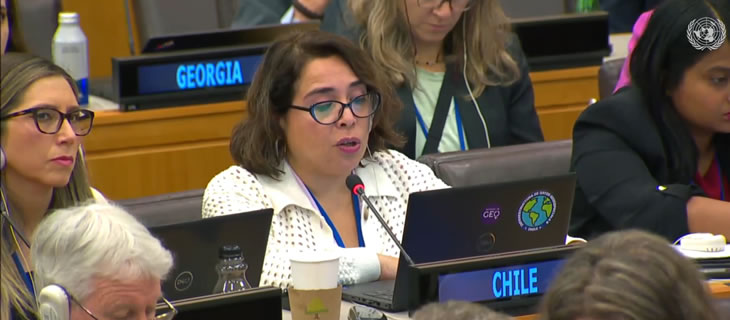 IDE Chile reportó logros y avances en la Decimotercera Sesión del Comité de Expertos de las Naciones Unidas sobre la Gestión Global de la Información Geoespacial (UN-GGIM), realizada en Nueva York