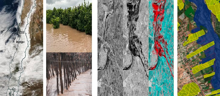 VEA-Visualizador de Emergencia Agrícola.